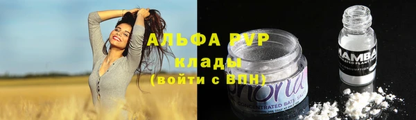 прущие грибы Абдулино