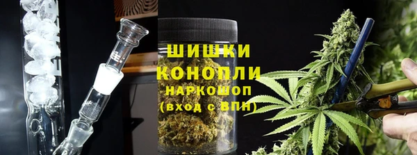 прущие грибы Абдулино