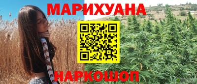 эйфоретик Владимир
