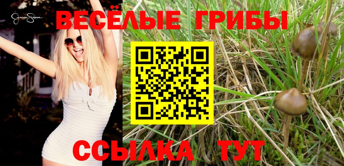 Вичуга  Псилоцибиновые грибы GOLDEN TEACHER  Вход с VPN  Галлюциногенные грибы мухоморы 